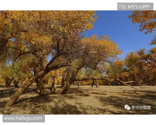 伊萨克的传奇旅程与不朽精神在历史长河中的深远影响